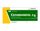 Cefamandol 2G (Cefamandol 2g)