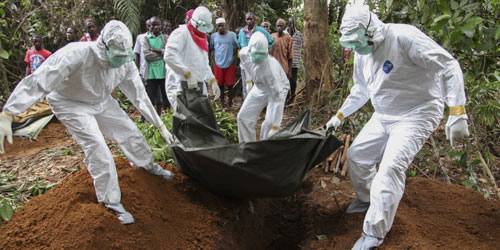 WHO: Đã có 3.338 người tử vong vì dịch Ebola - 1