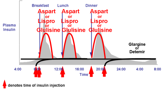 Figure 6. Idealized insulin curves for prandial insulin with a rapid-acting analogue (RAA) with basal glargine or detemir. Each insulin preparation is responsible for either the prandial or basal component. Many patients find the basal insulins do not last the entire 24 hours and they give the insulin twice daily. B=breakfast; L=lunch; S=supper; HS=bedtime.